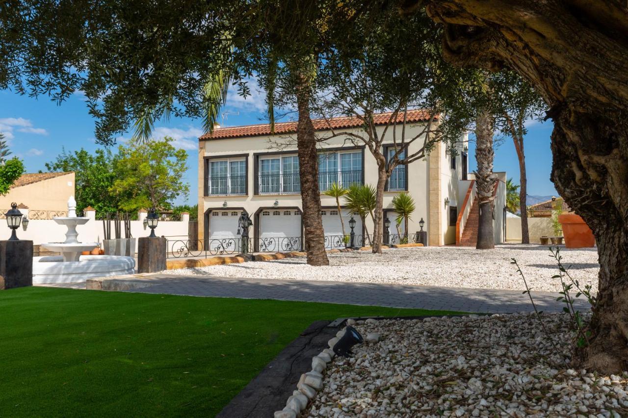Summer Dream By Fidalsa Villa Catral